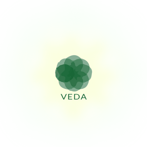 Veda Retreats
